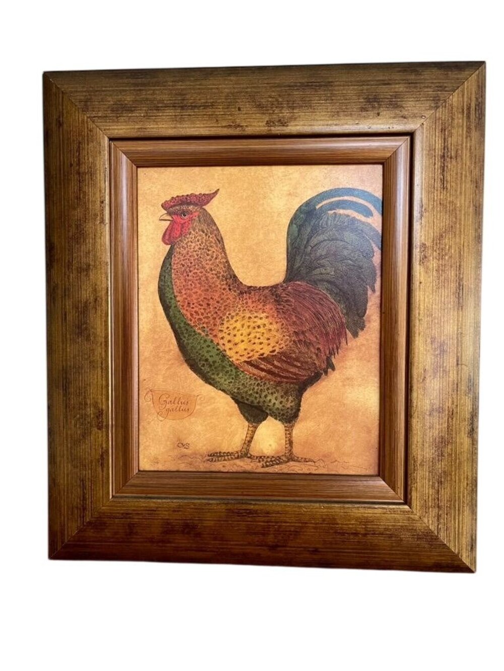 Vintage Framed Rooster Print | Rustic Farmhouse Kitchen Wall Decor